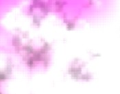 software internet electronic commerce