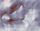 micro elektronik