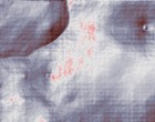electronics d