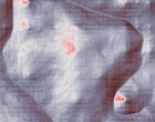 electronics l