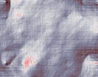elektronik software
