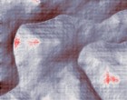 seg elektronik