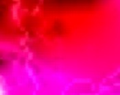 schnbuch electronic